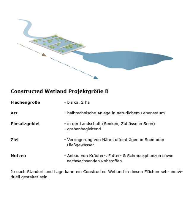 Constructed Wetland Projektgröße B
