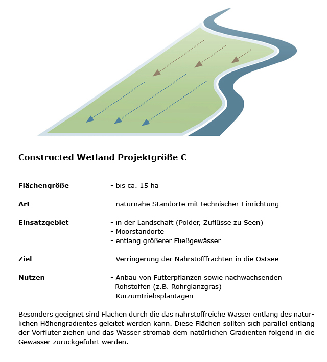 Constructed Wetland Projektgröße C