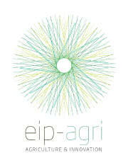 Logo EIP